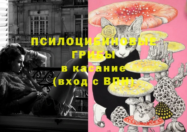 мяу мяу кристалл Арсеньев