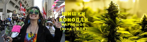 прущие грибы Богородицк