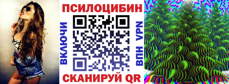 Галлюциногенные грибы Magic Shrooms  Сковородино 